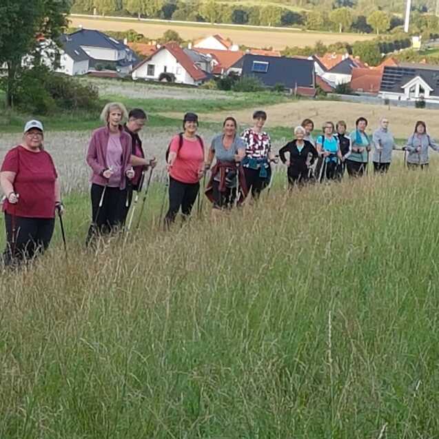 Gruppe von zehn Personen wandert mit Nordic-Walking-St&ouml;cken entlang einer Wiese, H&auml;user im Hintergrund.